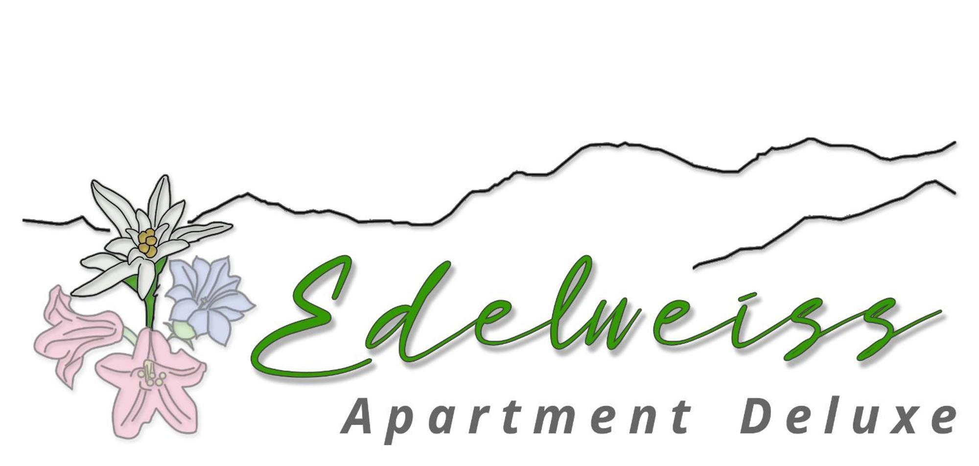 Chalet Wiesengrund Edelweiss 6P Saas-Almagell Buitenkant foto